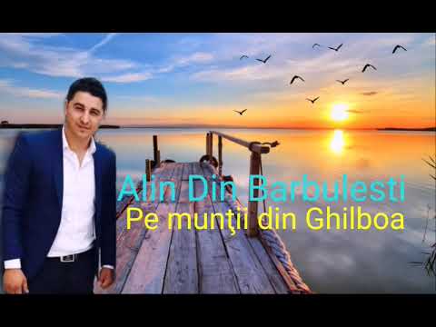 ALIN DIN BARBULESTI   PE MUNTII DIN GHILBOA