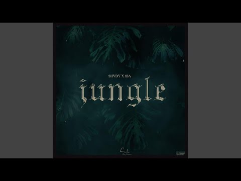 Jungle (feat. Jba00)