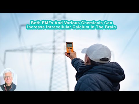 Both EMFs And Various Chemicals Can Act To Increase Intracellular Calcium In The Developing Brain