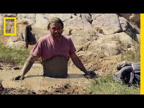 流砂を生き抜く方法｜プライマルサバイバー (How To Survive Quicksand | Primal Survivor)