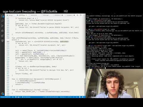 Livecoding age in Go on Twitch — Session 3