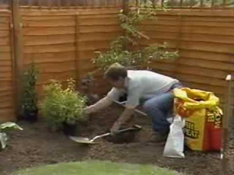 Gardeners' World @ First Time Planting @ Planting Borders 1989
