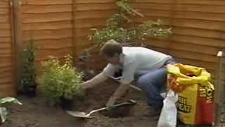 Gardeners' World @ First Time Planting @ Planting Borders 1989
