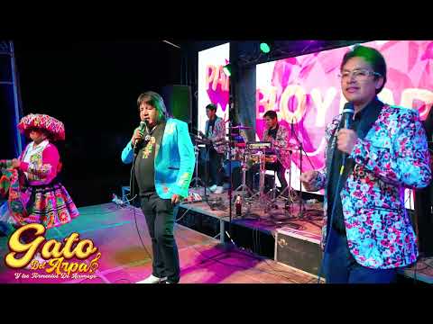 GATO DEL ARPA en su boda de PABLO Y KAREN ANCAHUASI CUSCO
