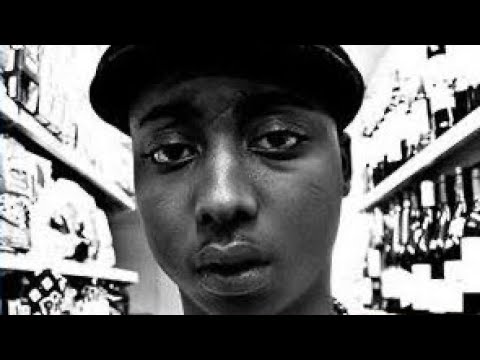 Guizmo Demi Portion, Fababy, LECK, L'institut, S.Pri Noir, Still Fresh, Hayce Lemsi...