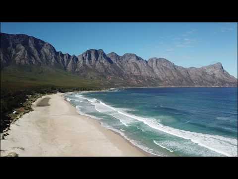 Liz- The Pearl - A gyöngy