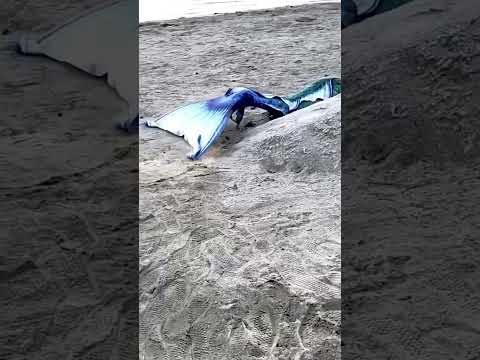 kadal Kanni real video in Washington beach #mermaid #seamermaid