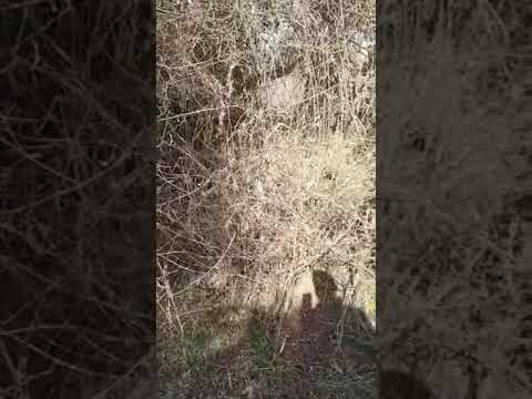 Video 2 Video 2