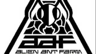 Alien Ant Farm - S.S Recognize