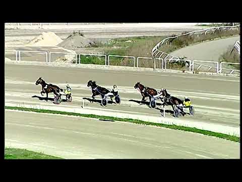 Trotto 18/12/2020 - 1ª prova di qualifica