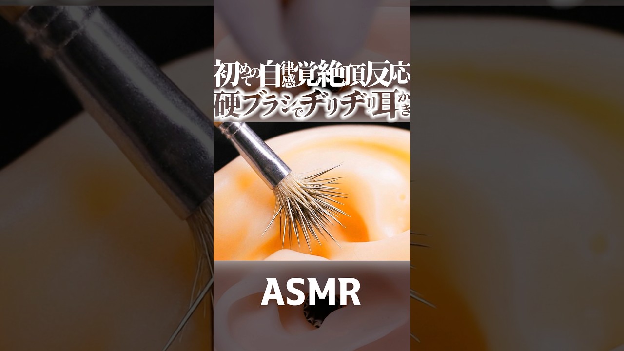 【ASMR】思わず「んぁっ///]ってなる耳かきの音🥰音蜜が初めて自律感覚絶頂反応(ASMR)を体験した耳掃除😂ステンシルブラシで鼓膜までヂリヂリ🎧1分で寝落ちする高音圧😴睡眠導入😪 #shorts