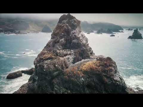 Sora Flori Suflet Luat De Valuri