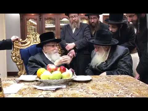 Mezibuz Rav Visits Skver Rebbe -  5779