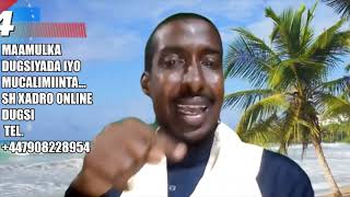 Download Lagu Maamulka Dugsiyada iyo mucalimiinta Quraanka ,maxaa maxaa Lagudboon Thumbnail