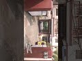 LITTLE FLOWER SCHOOL
