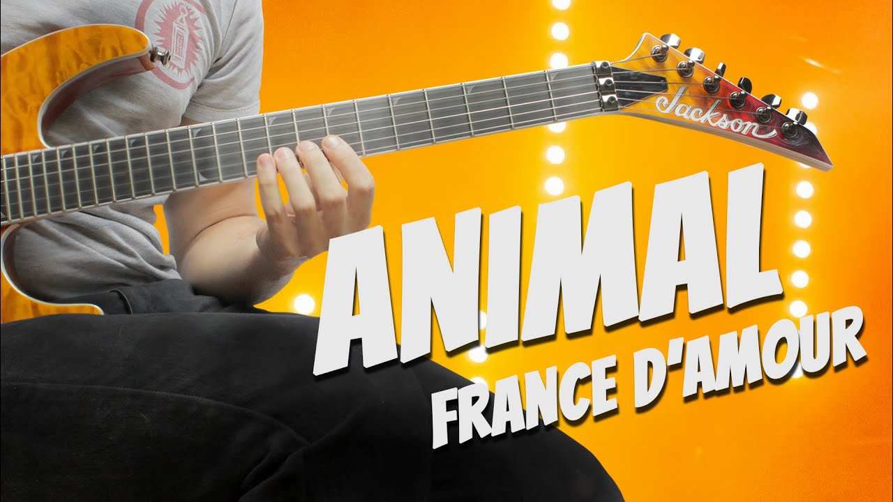 Animal de France D'Amour - Solo de guitare avec partition