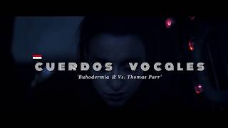 Cuerdos Vocales Lyrics English Translation