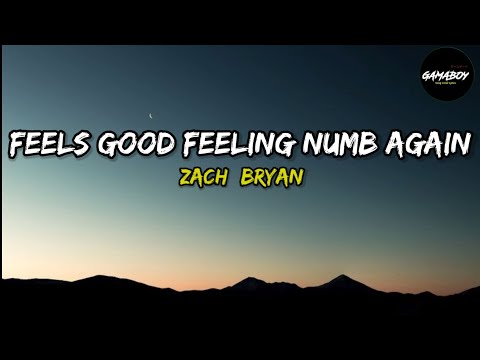 Zach Bryan - Feels Good Feeling Numb Again (Lyrics)