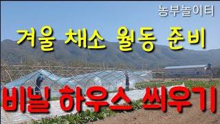 비닐하우스 겨울 야채 월동준비 Vinyl House Winter Vegetable Winter Prepara…