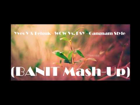 Yves V & Felguk - WOW Vs. PSY - Gangnam Style (BANIT Mash-Up) *HD 1080*