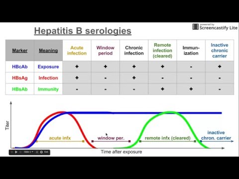 Hepatitis B serologies