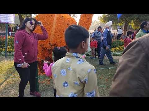 Mumma, is this camel or flowers??...