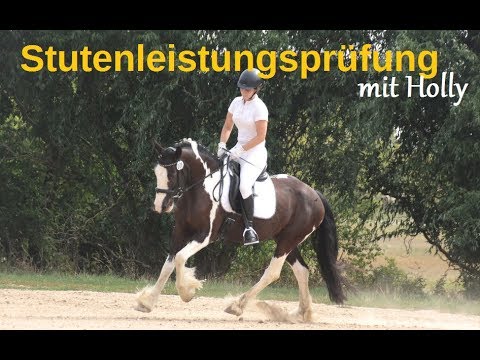 STUTENLEISTUNGSPRÜFUNG mit Holly :)