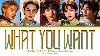 Download lagu CORTIS (코르티스) 'What You Want (feat. Teezo Touchdown)' Lyrics (Color Coded Lyrics) mp3