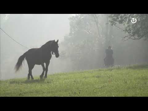 Povratak Emina Bektića u Srebrenicu