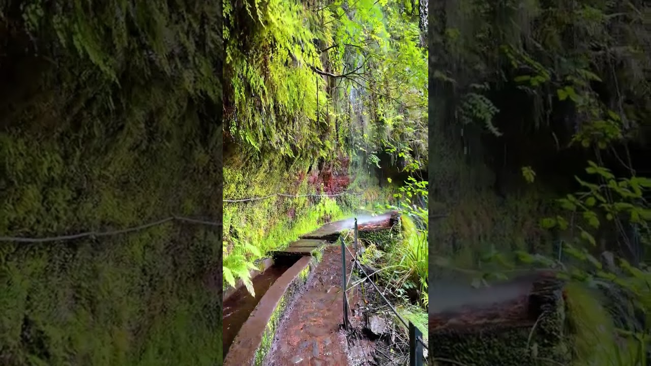 YouTube Short thumbnail