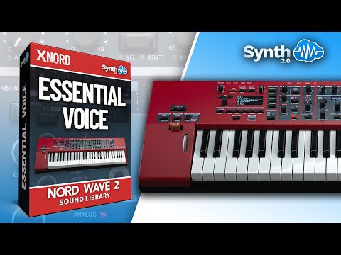 LDX165 - Essential Voices - Nord Wave 2 ( 25 presets ) - Video Preview 1