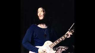 Trying So Hard To Forget  -  Peter Greens Fleetwood Mac