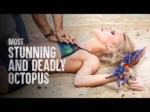 How to Survive the Blue Ringed Octopus Bite