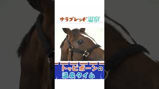 【サラブレッド温泉】トッピボーン編～ダイジェスト～【観るASMR】/JRA-VAN【公式】