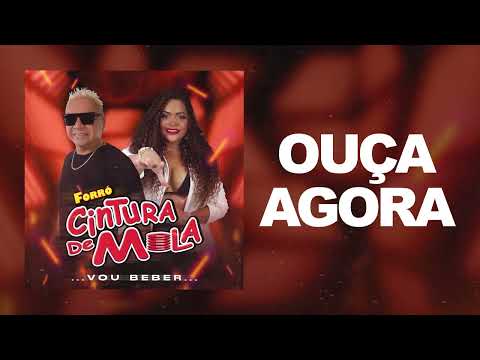 SOU UM PERIGO SOLTEIRA - Forró Cintura de Mola