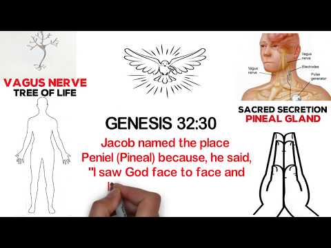 GENESIS & INTRO - The AMAZING Sacred Secretion / Christ Oil / Chrism (part 1)