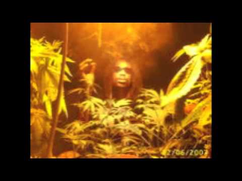 1997 General levy & M. Morrison. Colab. (RareTune)