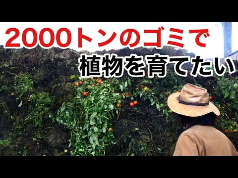 熱波の後にあなたの庭を救う天然肥料は何ですか?灼熱の夏のダメージを修復する6つのエリクサー  庭園