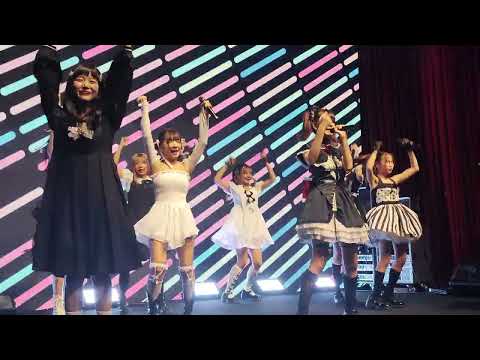 231015 Castella - Nekokaburi Nikushokukeijoshi @ Aidoru Matsuri # 11 The Dark World - Mr. Fox