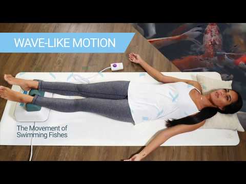 Daiwa Felicity Original Chi Swing Machine Passive Aerobic Exercise Swing Master