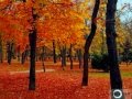 vision de otoño the blues splendor letra.