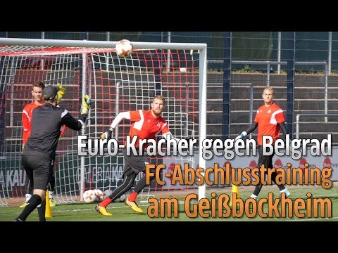 Europa League: 1. FC Köln vs. Roter Stern Belgrad: Abschlusstraining am Geißbockheim