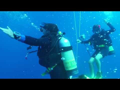 Anteprima video: Vedere la barriera corallina