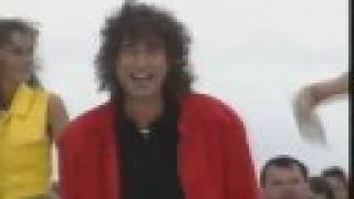 Die Flippers - Das ganze Leben ist eine Wundertüte