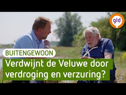 Verdwijnt de Veluwe door verdroging en verzuring? | BuitenGewoon
