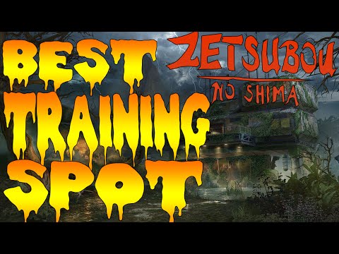 ZETSUBOU NO SHIMA BEST TRAINING SPOT! (Bo3 Zombies High Round Guide)