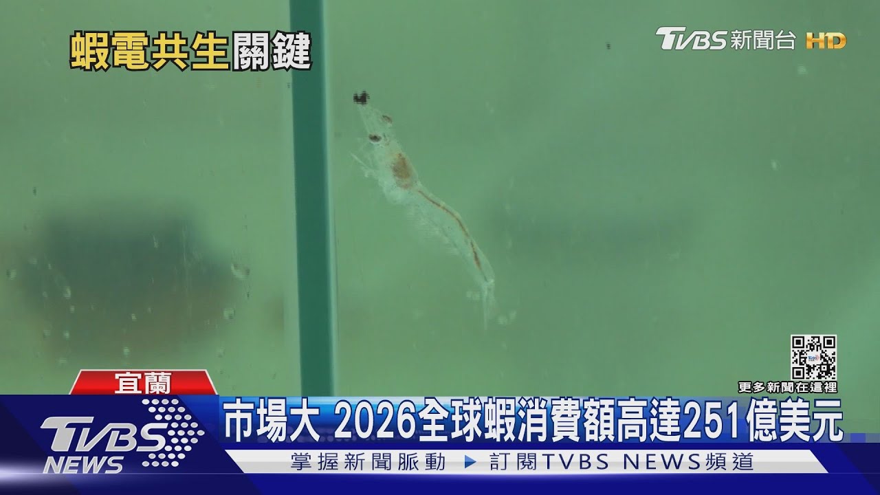 養蝦也要大數據！自動水質監測對蝦池進行增氧、調整餵食　還要「這樣」結合再生能源