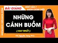 Những cánh buồm Ngữ văn lớp 7 Cánh diều