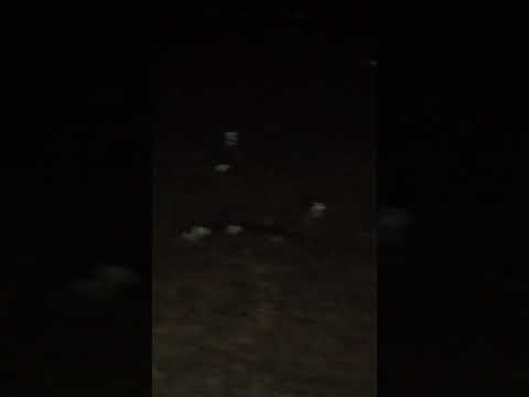 Os sons da cheia do Lago de Sobradinho Bahia