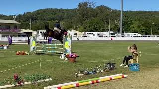 Tulara Willow. Owned by Darren Kennedy and ridden by Becky Jenkins.
